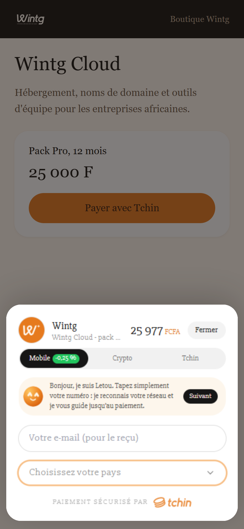 La feuille de paiement sur le site du marchand « Wintg » (téléphone).